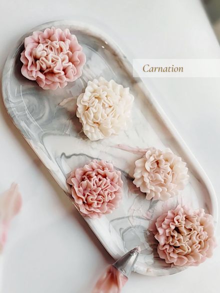 Carnation (downloadable)