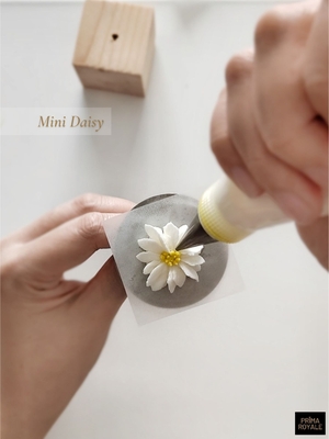 Mini Daisy (downloadable)