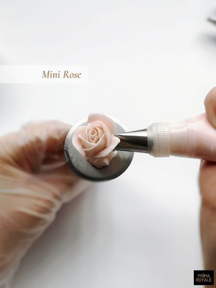 Mini Rose (downloadable)