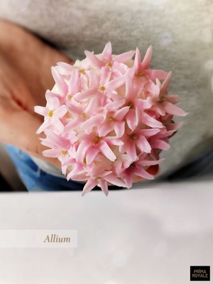 Allium cupcake (downloadable)