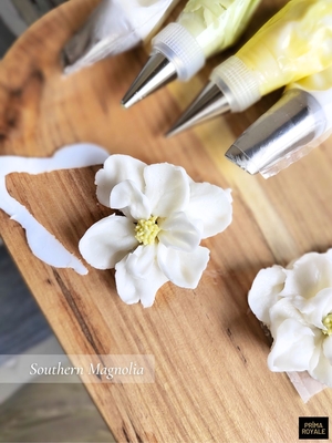 Southern Magnolia Flower (downloadable)