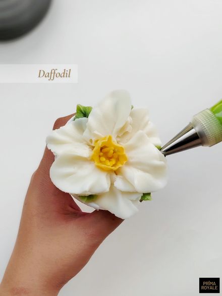 Daffodil (downloadable)