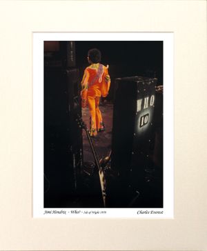 Jimi Hendrix - Who? - 1970 Isle of Wight Festival - Mounted Print - (12"x10") [320937]