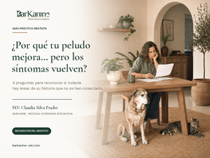 ¿Por qué tu peludo mejora… pero los síntomas vuelven? 
