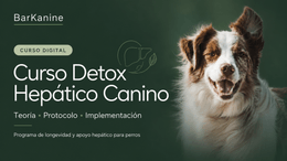 Detox Hepático canino- Programa de longevidad para mascotas