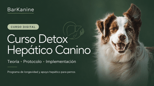 Detox Hepático canino- Programa de longevidad para mascotas