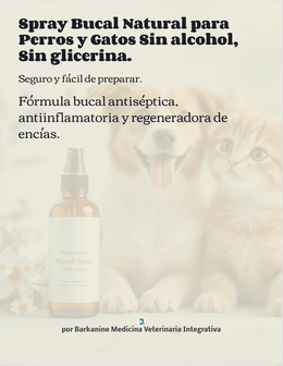 Spray Bucal natural