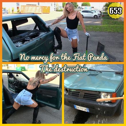 653 : No mercy for the Fiat Panda - The destruction | Starring Miss Kyna