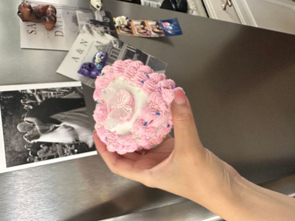 Pink Butterfly Heart Cake Shaped Magnet