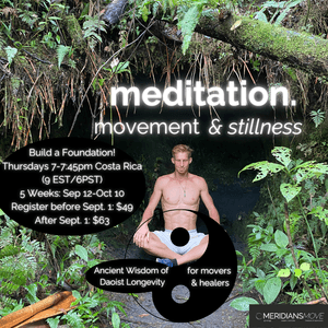 Longevity Meditation: Movement &amp; Stillness