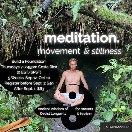 Longevity Meditation: Movement &amp; Stillness