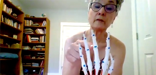 Taste of Anatomy: Hands and Wrists