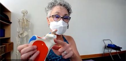 Taste of Anatomy: Healthy Shoulders in Yoga with Julie Gudmestad