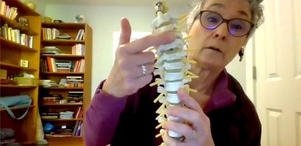Taste of Anatomy: Head &amp; Neck Bundle