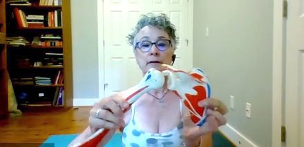 Taste of Anatomy: Arm &amp; Shoulder Strengthening