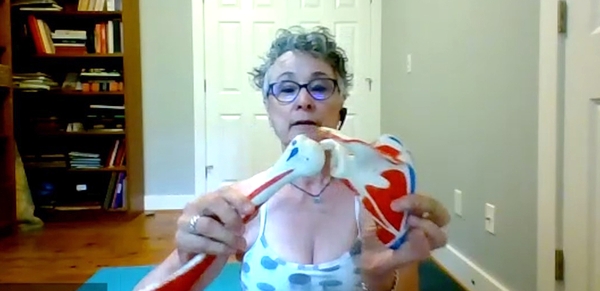 Taste of Anatomy: Arm &amp; Shoulder Strengthening