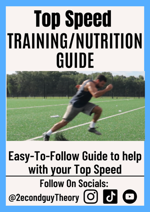 Top Speed PDF Program 