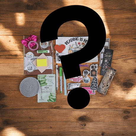 Mystery Bookish Bundle 