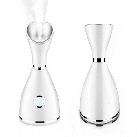 Mini Spa Facial Steamer