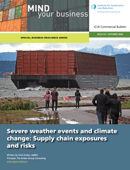 Supply chain exposures and risks