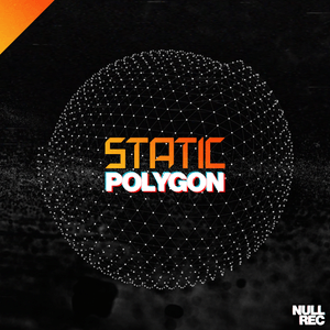 Static - Polygon | Makina, Spanish, Bouncy | Null Records