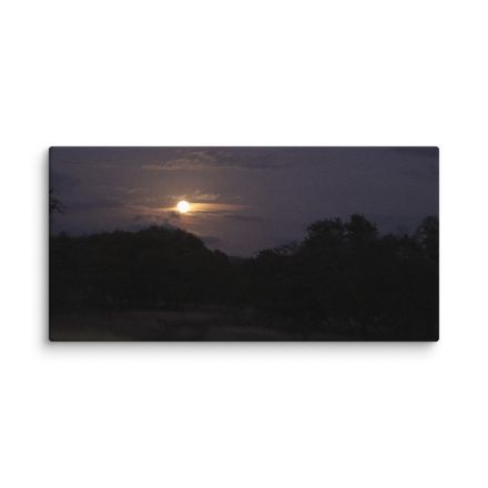 Moonrise over the Ranch