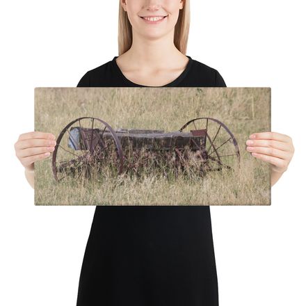 Hay rake