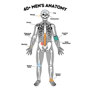 40+ Men&#x27;s Anatomy