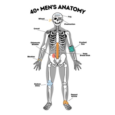40+ Men&#x27;s Anatomy
