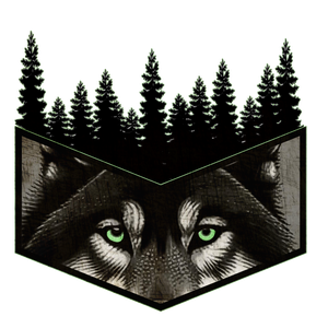 Wolf Eyes
