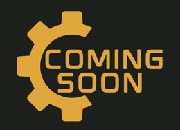 The Coach-Led Speed System