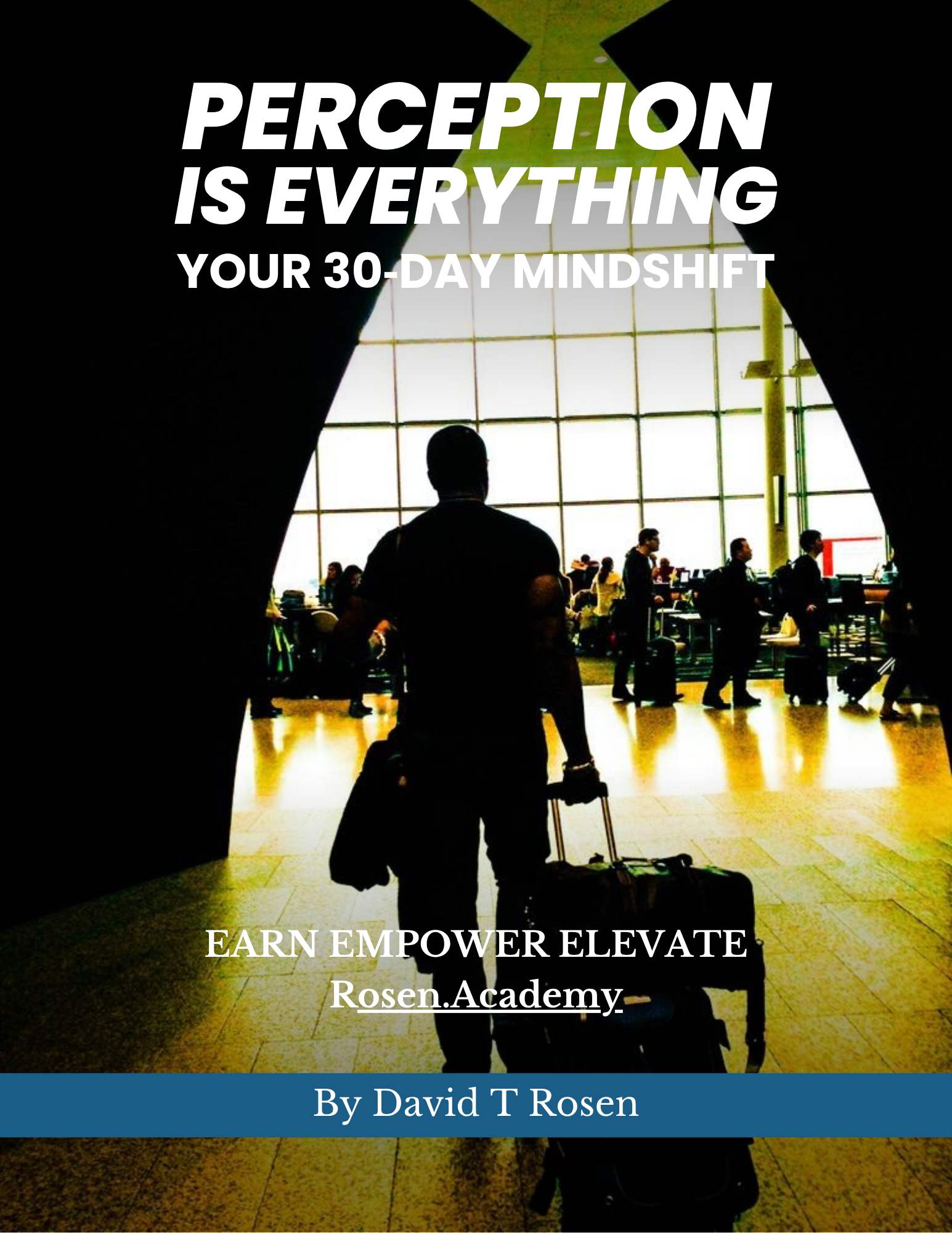 Perception Is Everything book cover by David T. Rosen