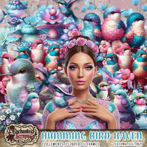 Hummingbird Haven Kit