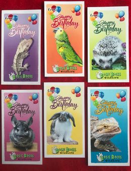 Wildlife Birthday Cards