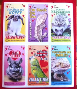 Wild Animal Valentines 