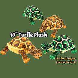 10&quot; Turtle Plush 