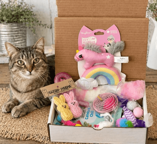 Cat's Meow Monthly Subscription Box 