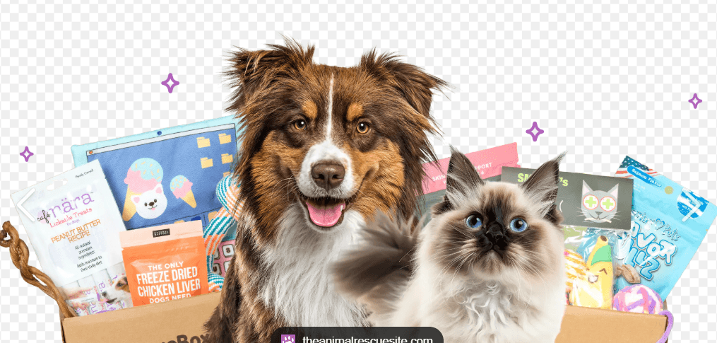 EXTRA SPECIAL DOGGO DELUXE Monthly Subscription Dog Box