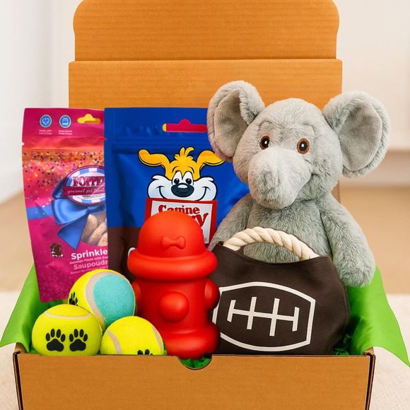 Doggo Monthly Subscription Box 