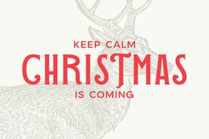 The Christmas Font Duo – Elegant &amp; Festive Design