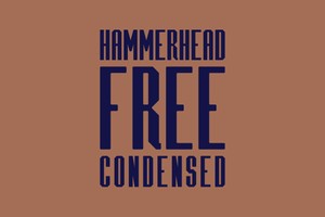 FREE HAMMERHEAD Font Family – Modern Clean Sans Serif with Vintage Charm
