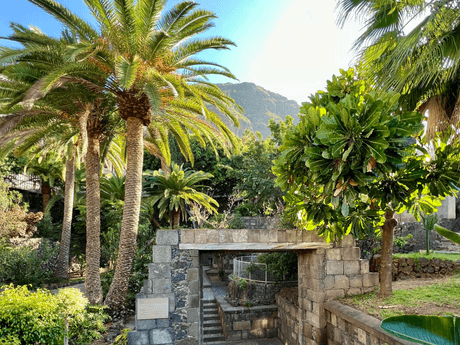 Green Side of Tenerife