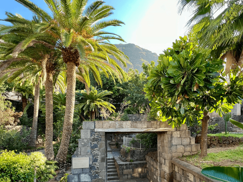 Green Side of Tenerife