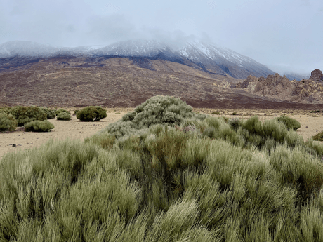 A Day in Teide National Park