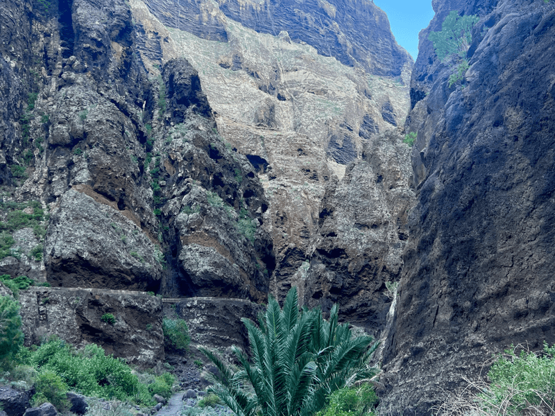 Masca – The Hidden Gem of Tenerife