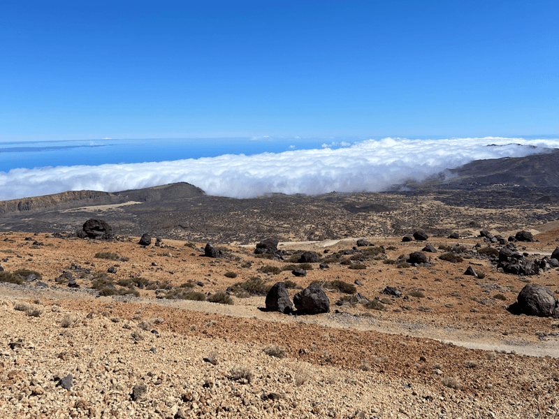 A Day in Teide National Park