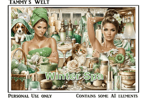 Winter Spa