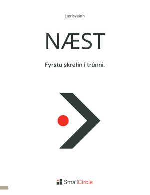 NEXT Set (Icelandic)