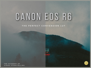 Canon Log 3 Conversion Lut | Cinema Pro Series