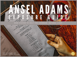 Cinema Pro | Ansel Adams Exposure Guide